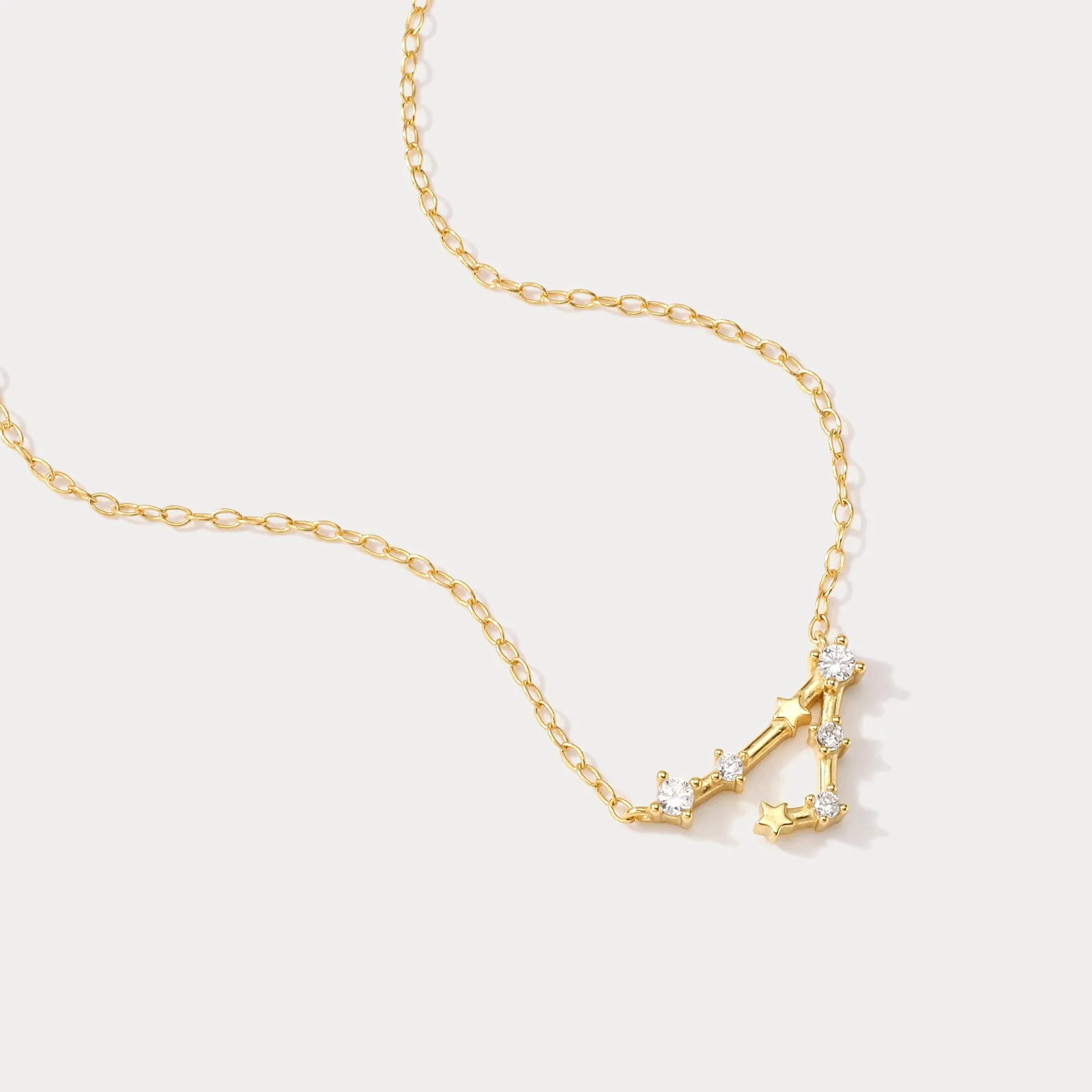 Constellation Silver Necklace - Pisces