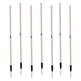 Ki-o-Rahi Nga Pou Flexi Pole Set