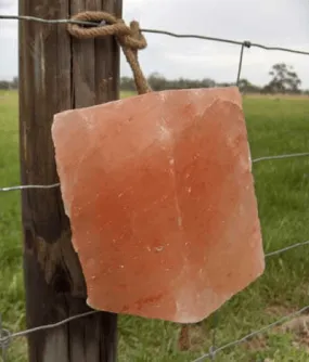 Minrosa Himalayan Salt Rock