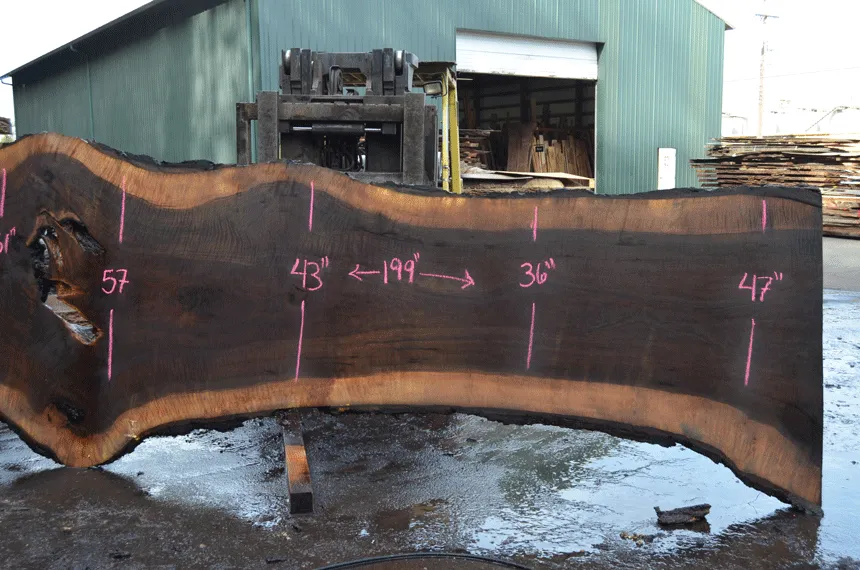 Oregon Black Walnut Slab 030221-03