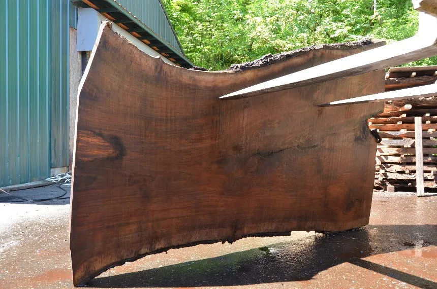 Oregon Black Walnut Slab 062122-02