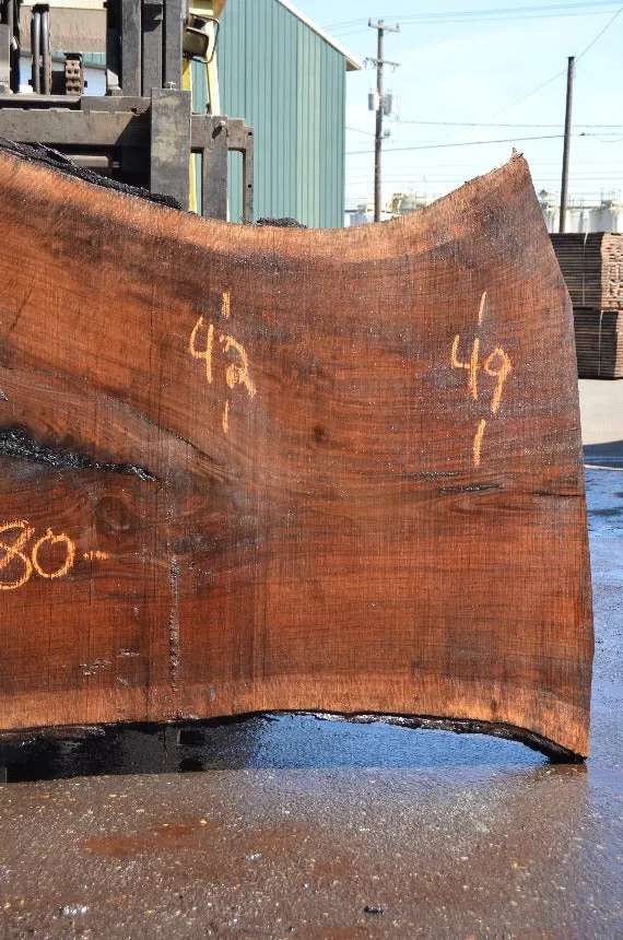 Oregon Black Walnut Slab 062122-02