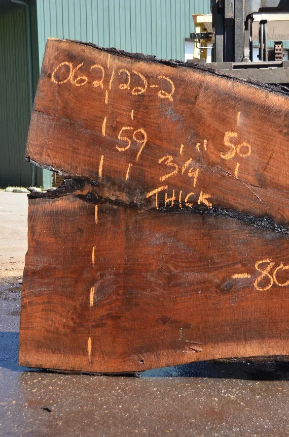 Oregon Black Walnut Slab 062122-02