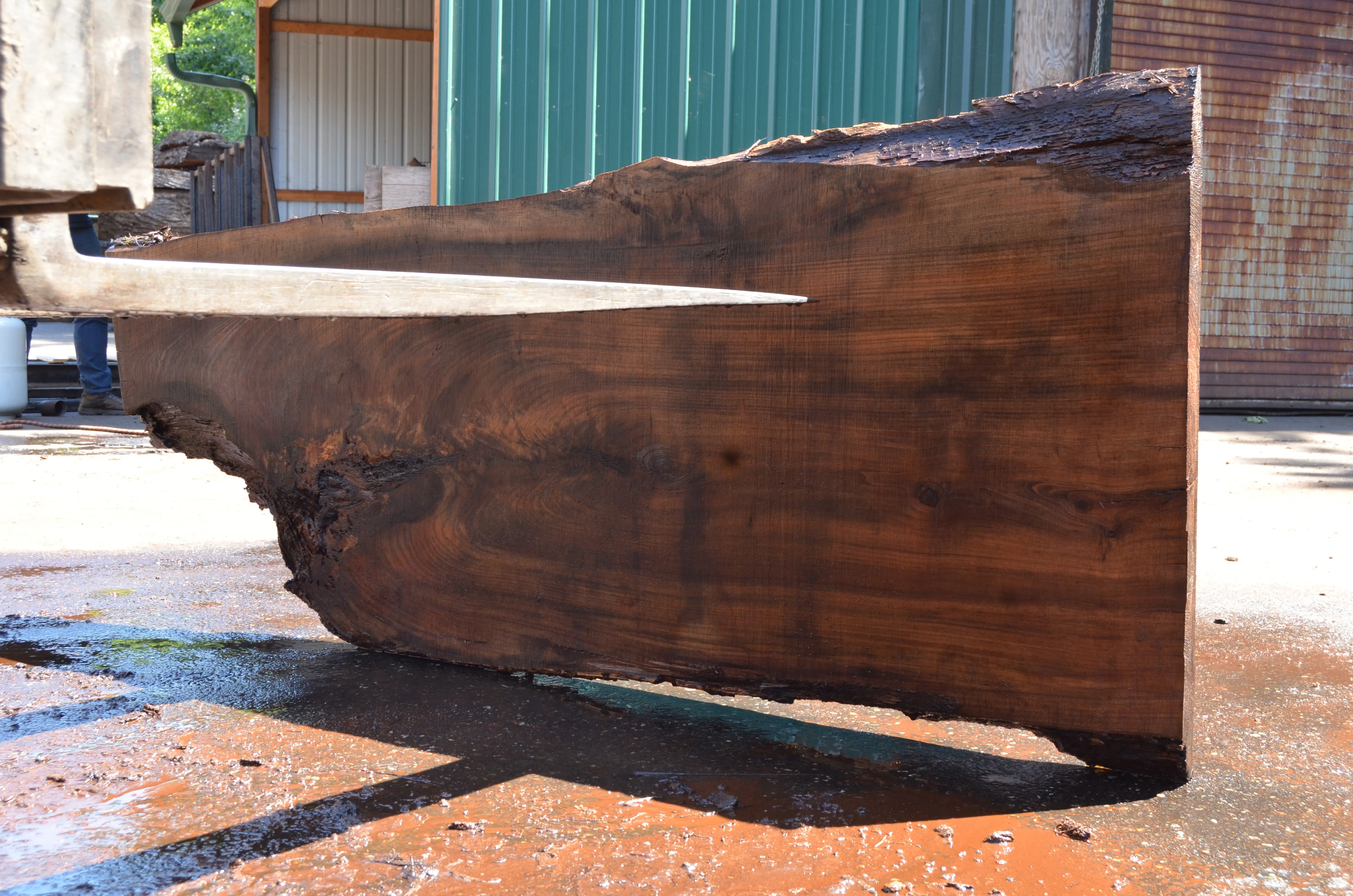 Oregon Black Walnut Slab 062922-06