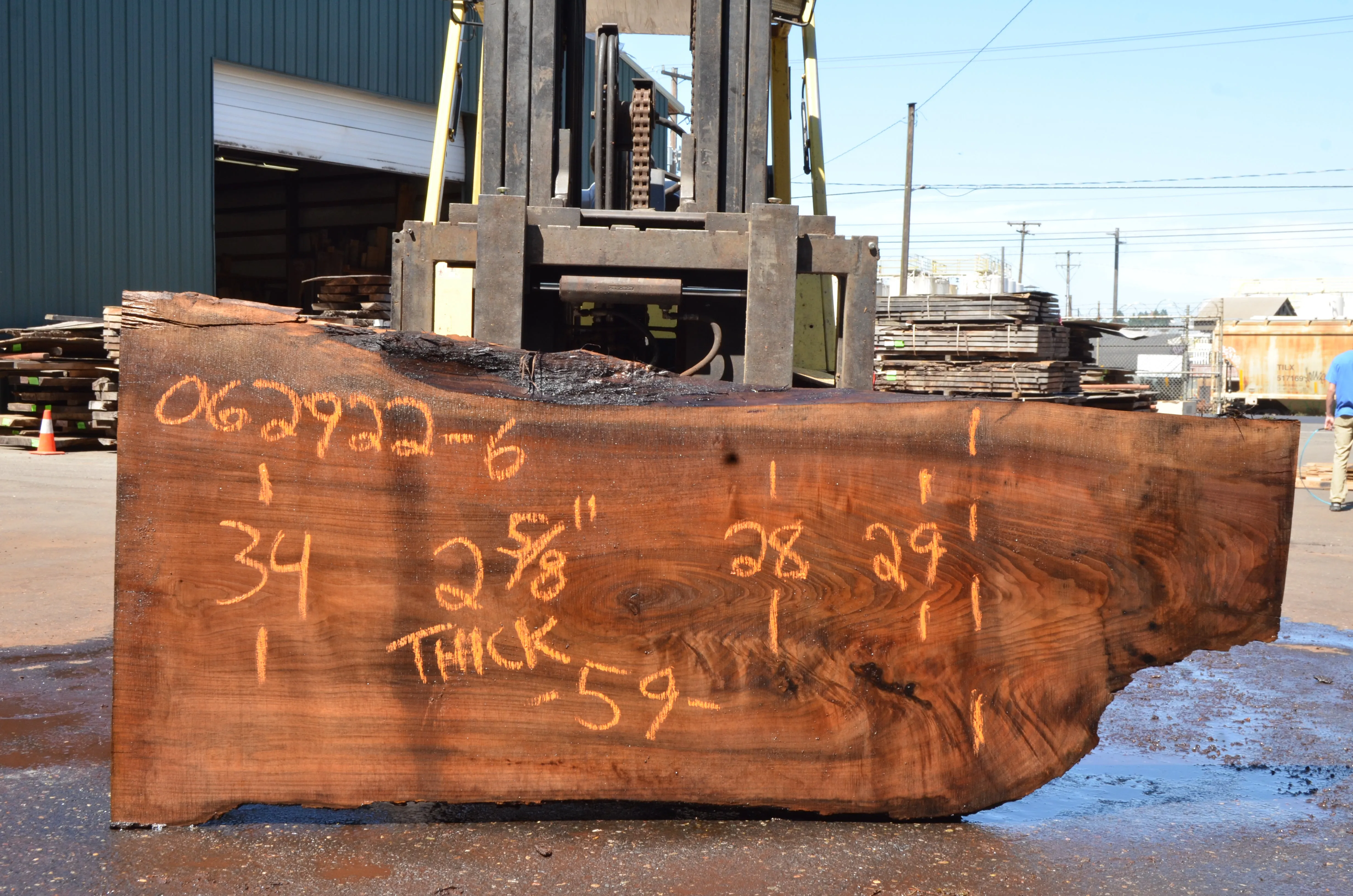 Oregon Black Walnut Slab 062922-06