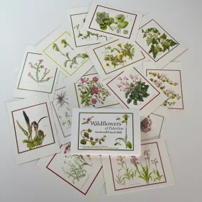 Palestinian Wildflowers Pack of Postcards | Celebrate Palestine's Nature Cards